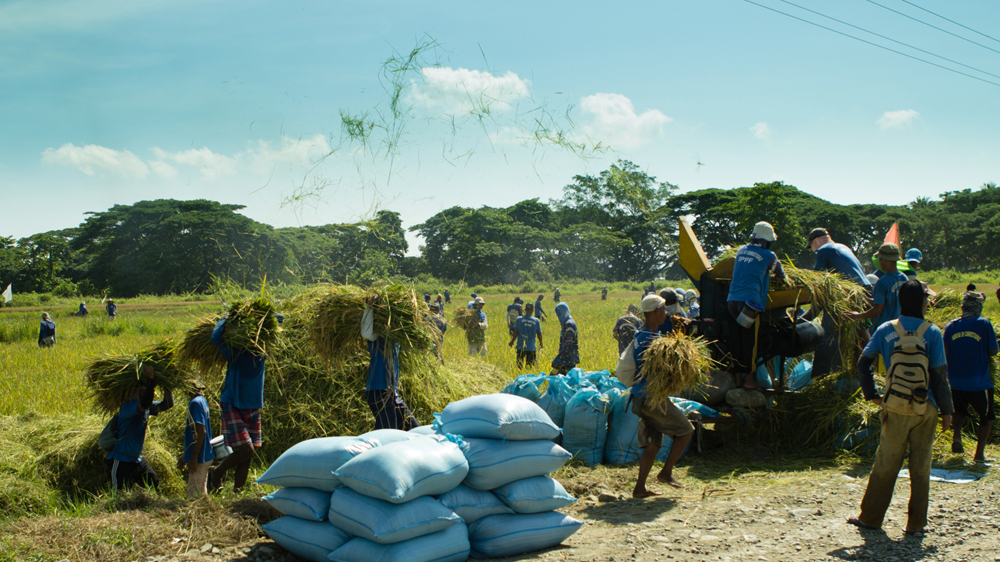 Iwahig is the Philippines' most productive penal farm, as it generates 15 percent of the facility's income [Angel L Martinez Cantera/Al Jazeera]