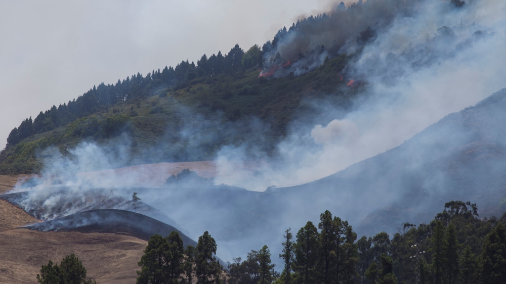 Flames and smoke from a forest fire are seen in the village of Galdar on the Canary Island of Gran Canaria