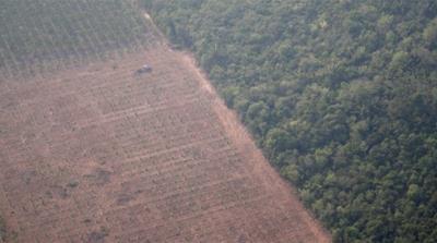 An aerial view shows a tractor on a plantation near a deforested plot of the Amazon near Porto Velho